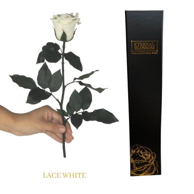 Individual Long Stem Rose - Lace White