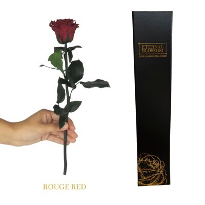Rosa Individual Tallo Largo - Rojo Rojo