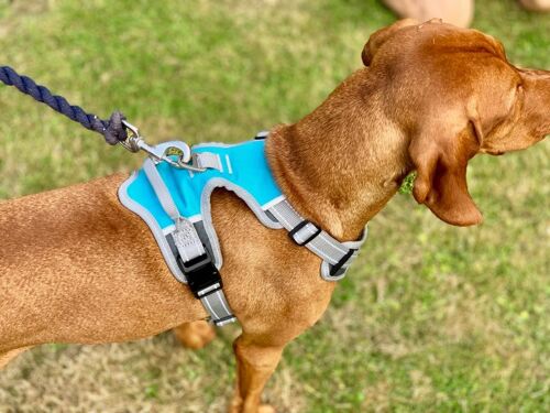 Henry Wag Dog Travel Harness Medium