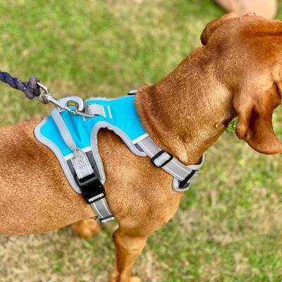 Henry Wag Dog Travel Harness Medium