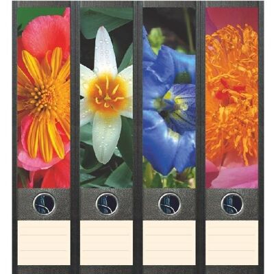 File Art Bloemen in de tuin