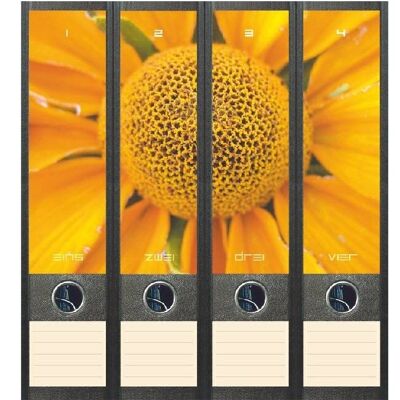 File Art Sunflower
