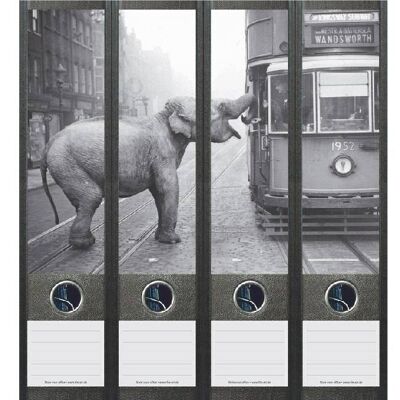 File Art Elefant in der Straßenbahn in Schwarz und Weiß