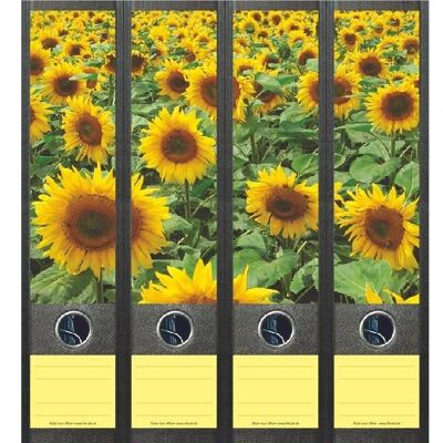 File Art Field Sunflowers