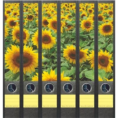 File Art Field Sunflowers 6 labels