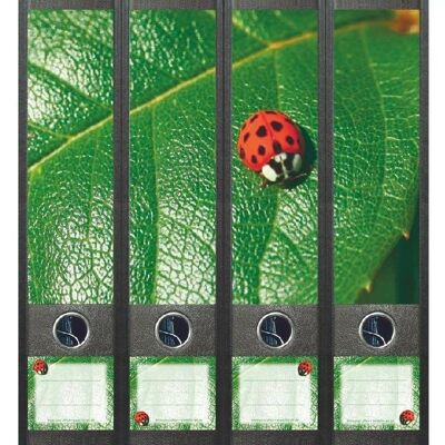 File Art Coccinella