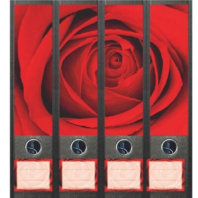 File Art Nel cuore della rosa