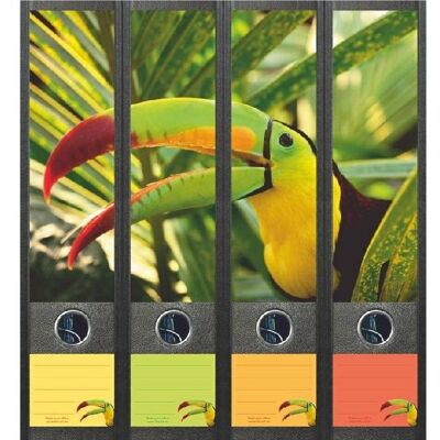 File Art Toucan