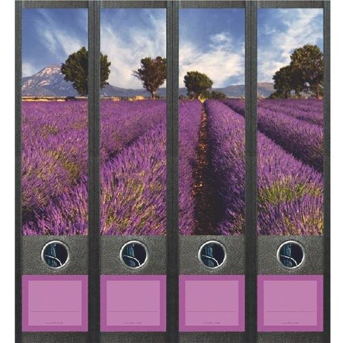 File Art Lavendelveld
