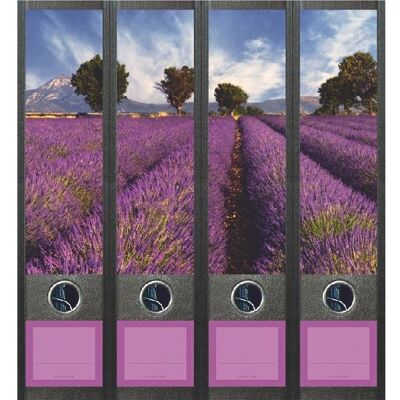 File Art Lavender Field