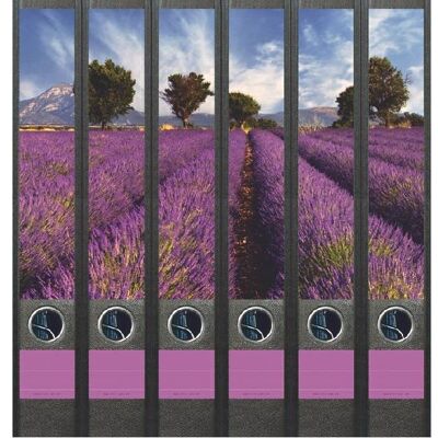 File Art Lavender Field 6 Labels
