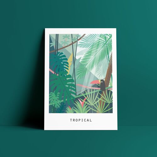 Polacards - tropical