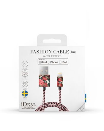 Câble Fashion, 1m Roses Antiques 3