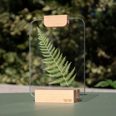 Canopy Photo Frame (made in France) in Beech wood - Wooden clip