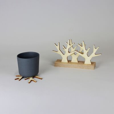 Coaster and under glass - Sous-bois - (made in France) in Birch wood