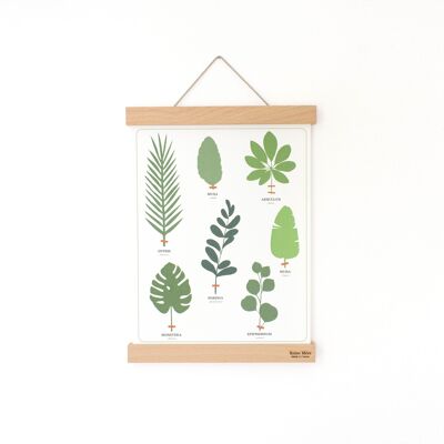 Poster holder - Bracket 51 cm - (made in France) in solid beech wood and linen cord