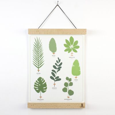 Poster - The tropical herbarium (made in France)