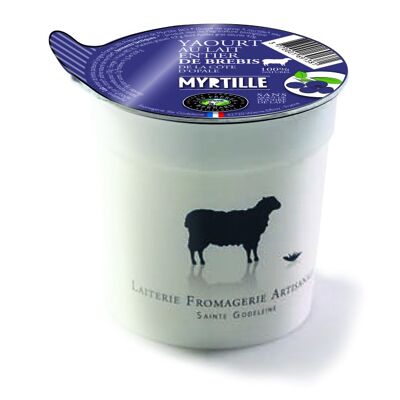 Yogurt di pecora con
mirtillo biologico