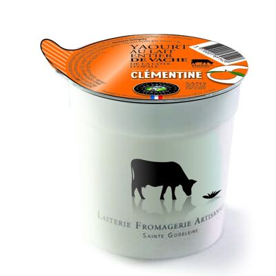 Whole cow's milk yoghurt with clementine