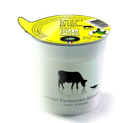 Cow's milk yogurt with
lemon cactus