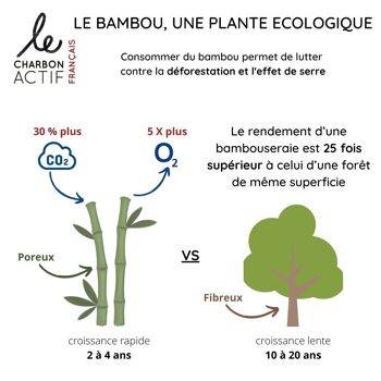 Charbon de bambou fin 100% français, filtre à eau naturel 5