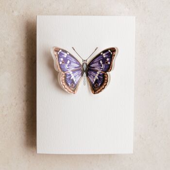 Carte de voeux aquarelle papillon Pop Out Purple Emperor 2