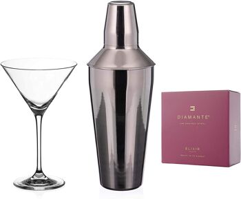 Ensemble shaker et verre à martini Auris