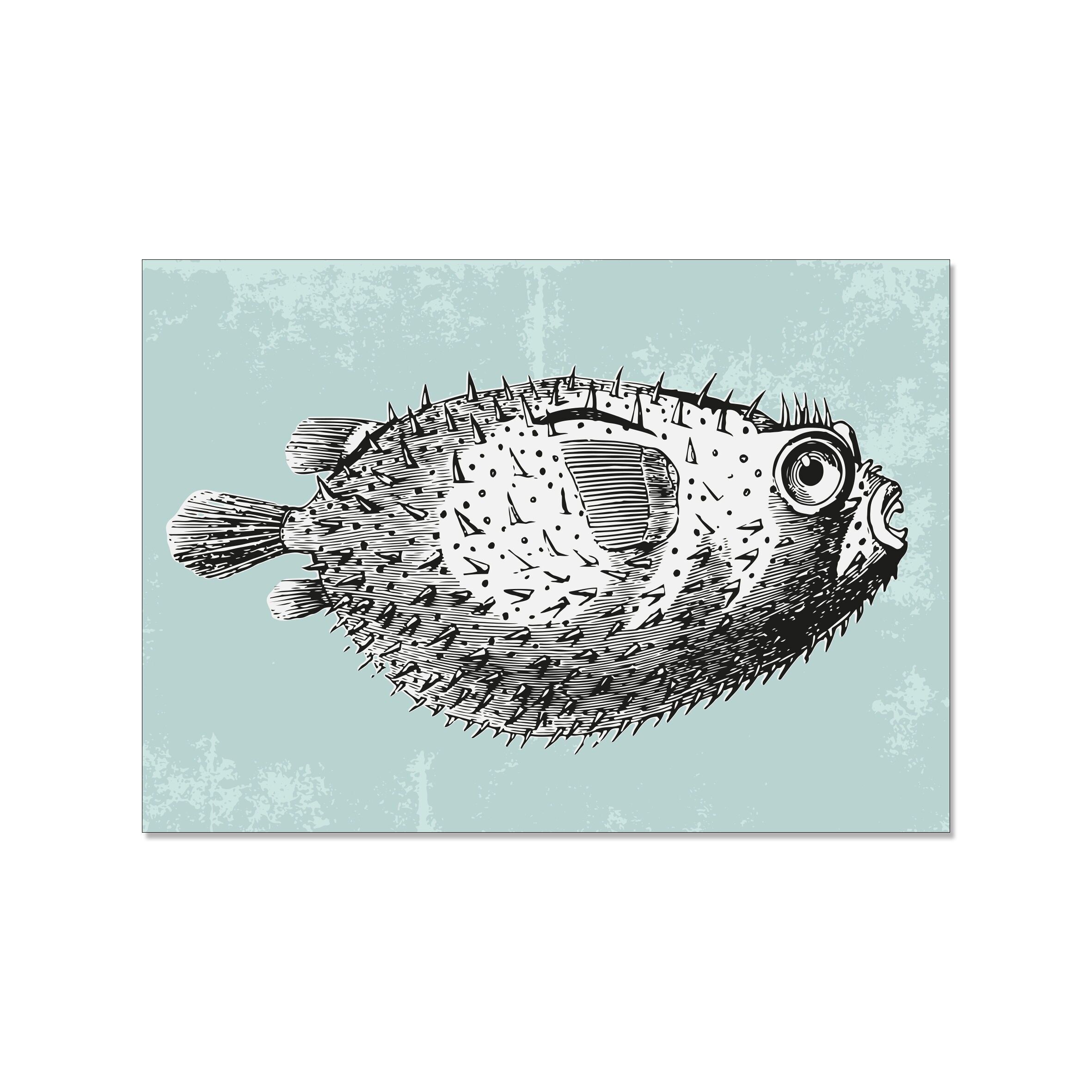 Paesaggio da cartolina, PUFFFISH VINTAGE