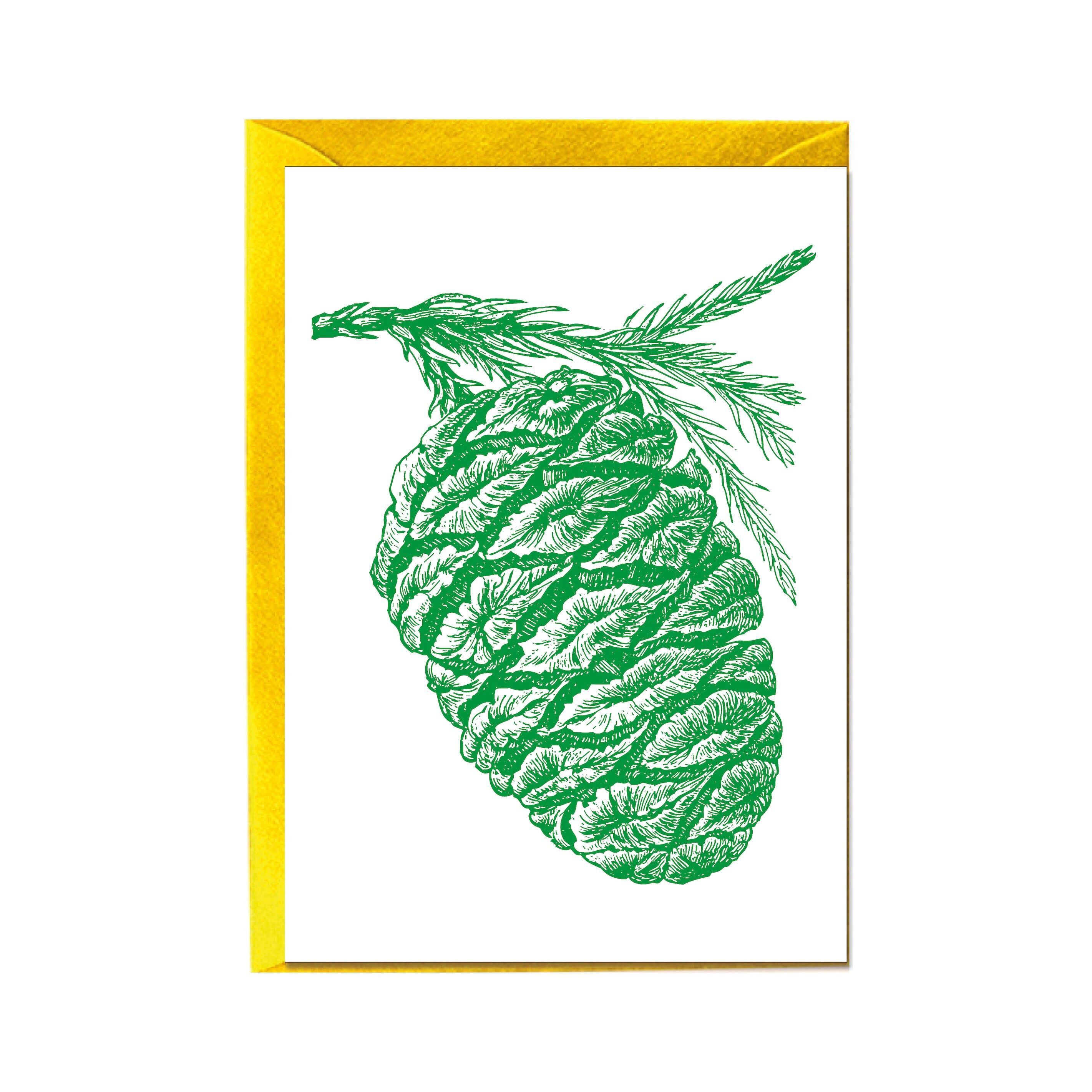 Verticale in cartoncino piegato, PINZE