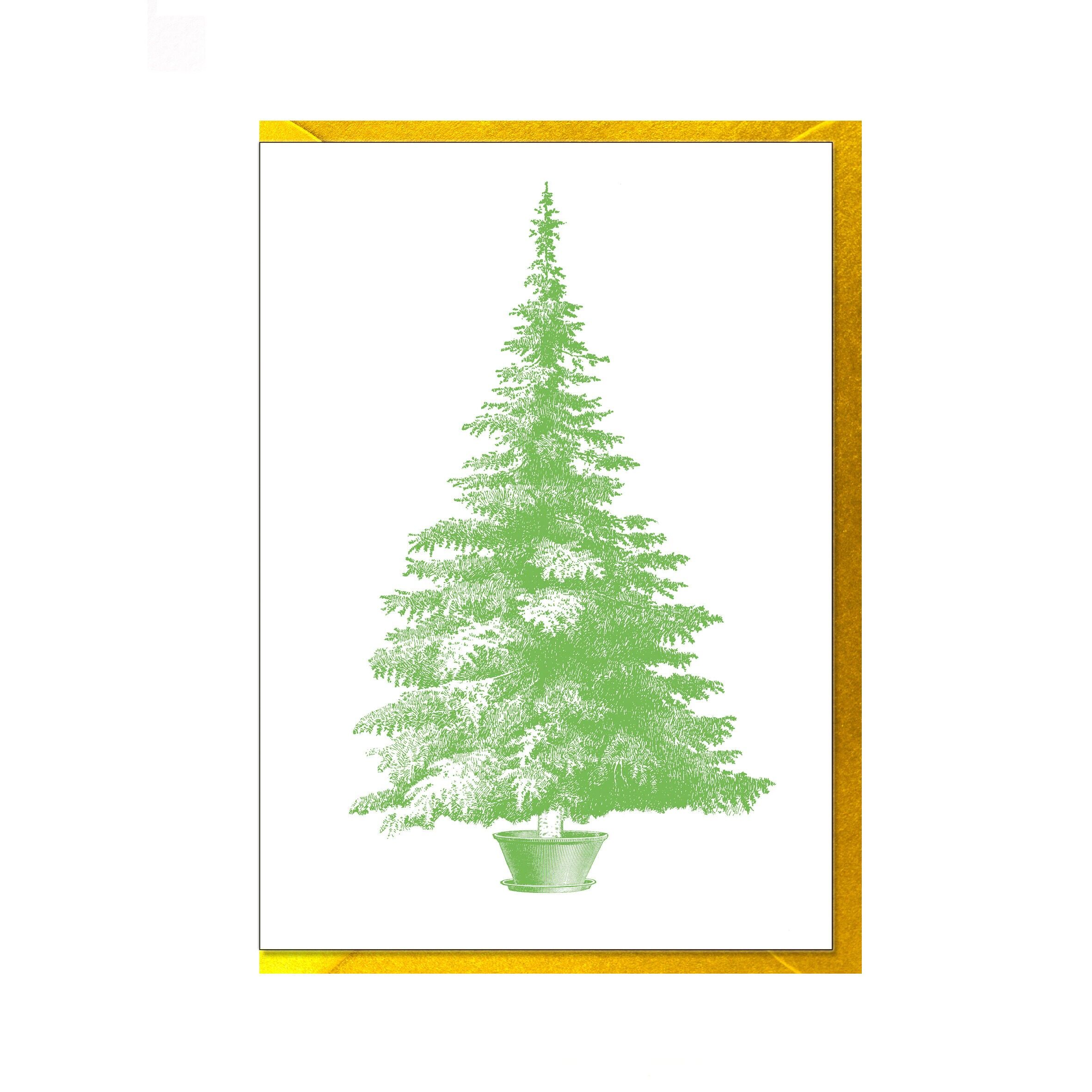 Carta piegata alta, ABETE