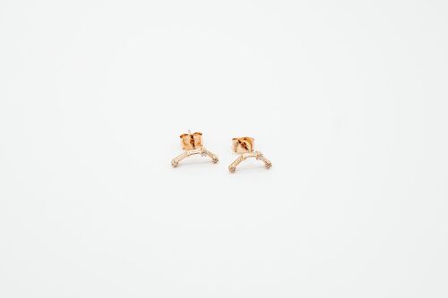 Zodiac Set Rosegold Earring (12pcs)