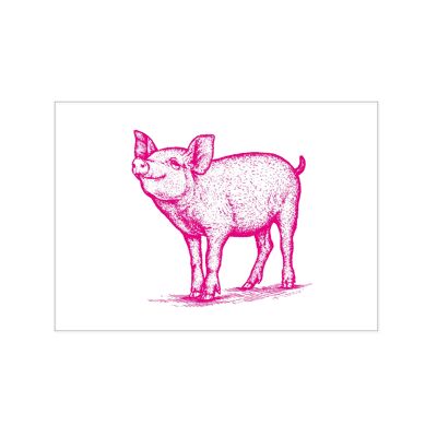 Carte postale à travers, PIG