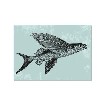 Paysage de carte postale, FLYING VINTAGE FISH
