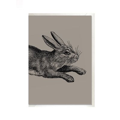 Carte pliée vers le haut, LAPIN