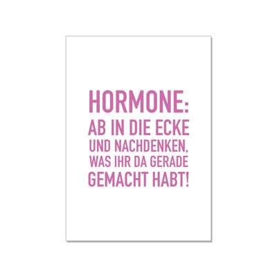 Postkarte hoch, HORMONE: AB IN DIE ECKE UND NACHDENKEN, WAS IHR DA GERADE GEMACHT HABT!