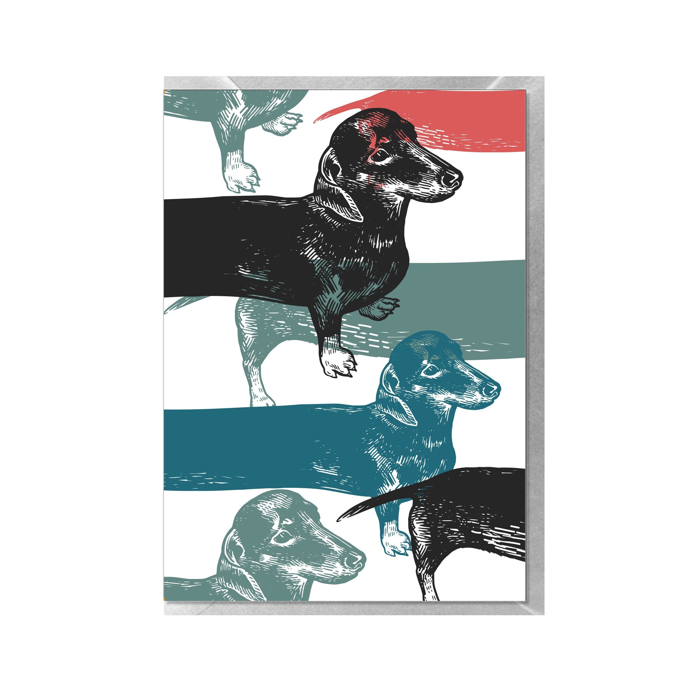 Carta piegata alta, DACHSTER