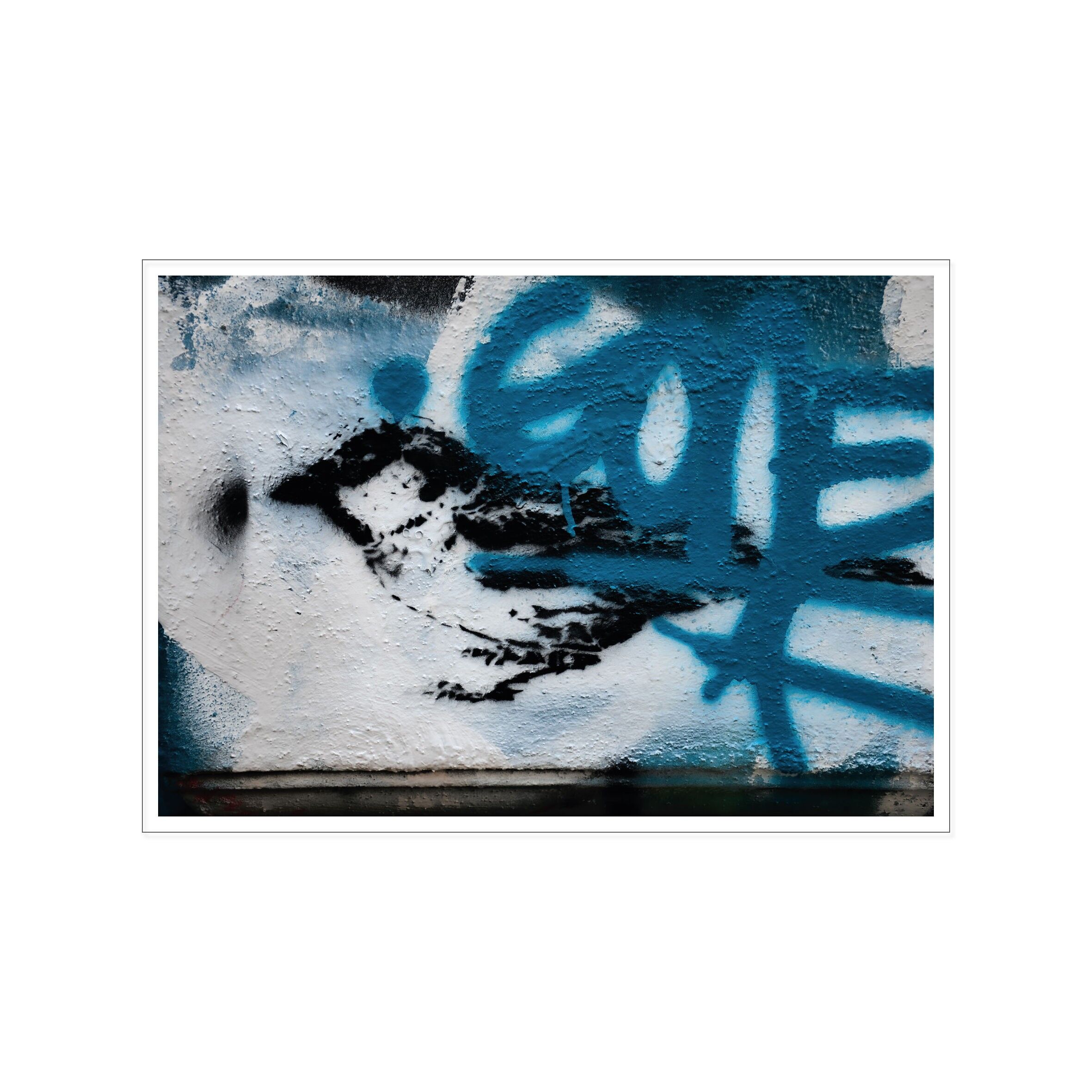 Cartolina attraverso, street art, SPATZ