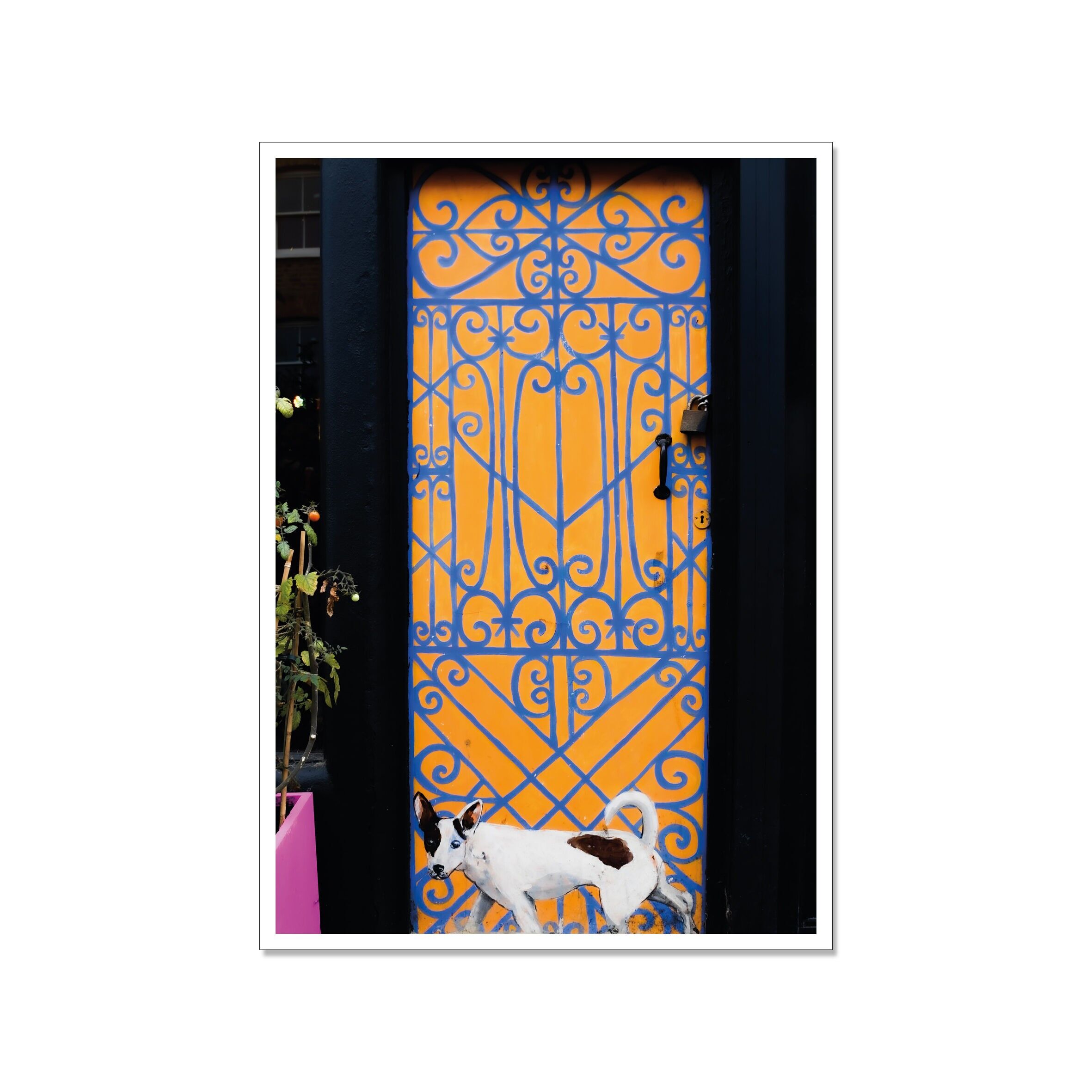 Cartolina alta, street art, JACK RUSSELL TERRIER