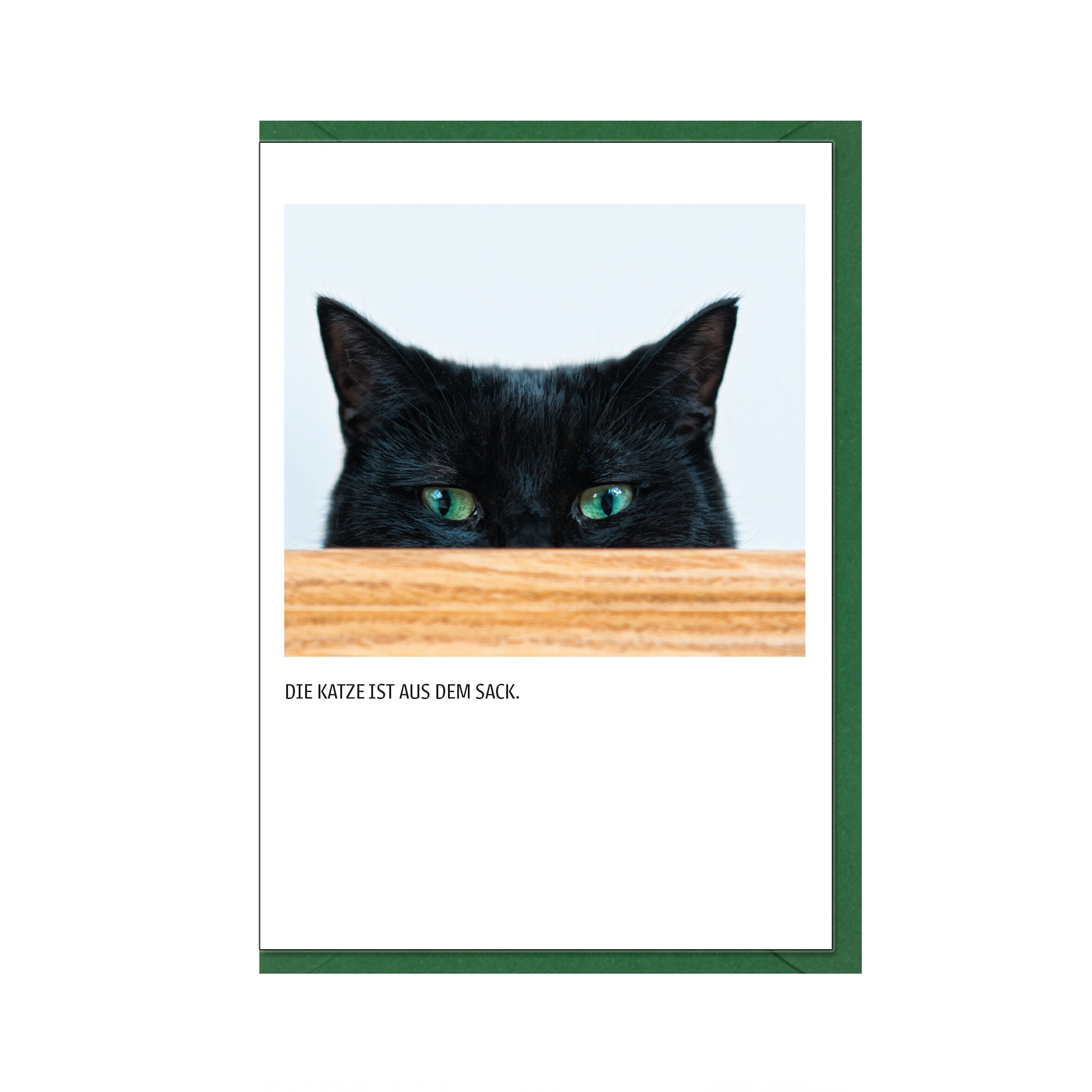 Piegando la carta, IL GATTO È FUORI SACCHETTO