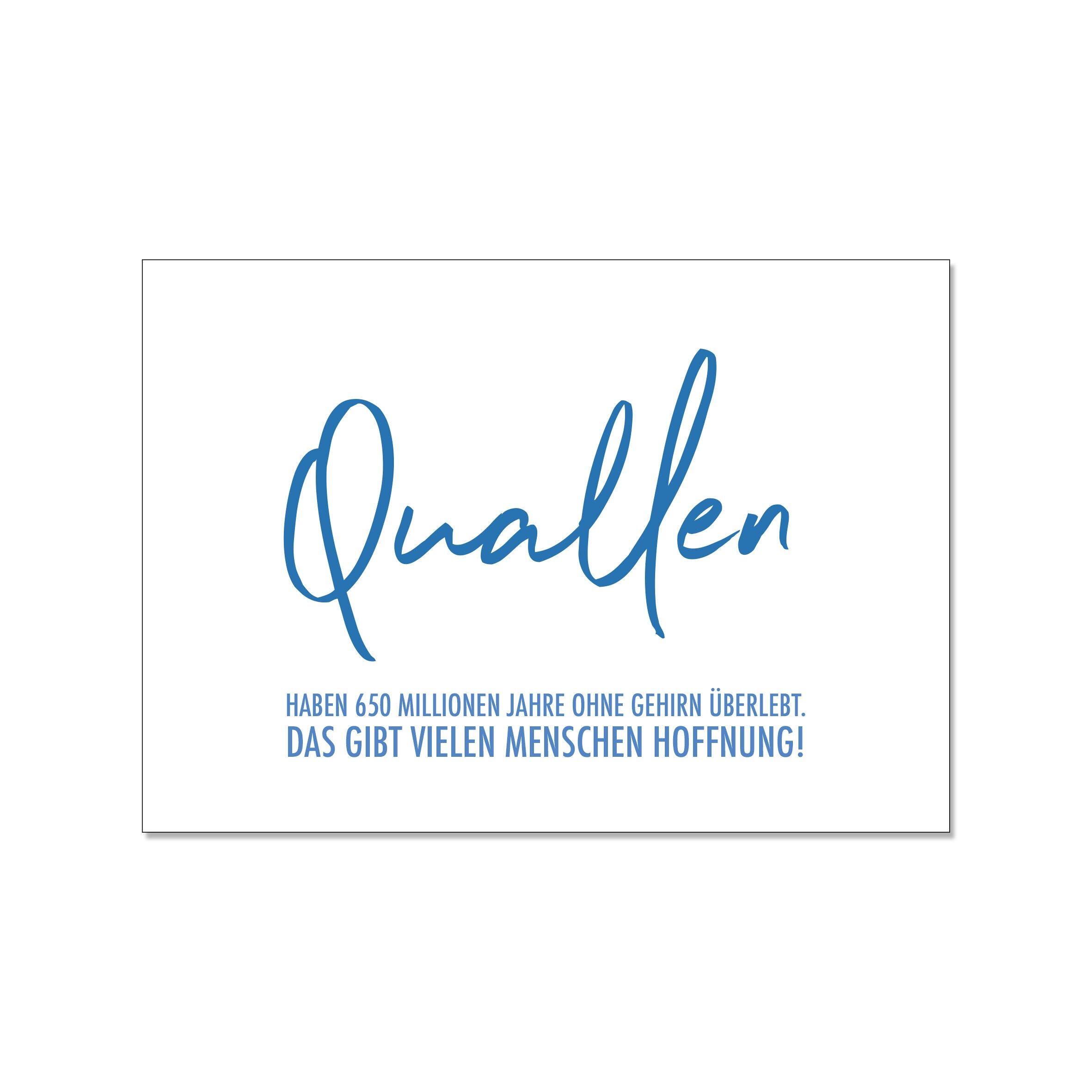 Paesaggio da cartolina: le meduse sono sopravvissute 650 milioni di anni senza cervello.QUESTO DÀ GIUDIZIO A MOLTE PERSONE