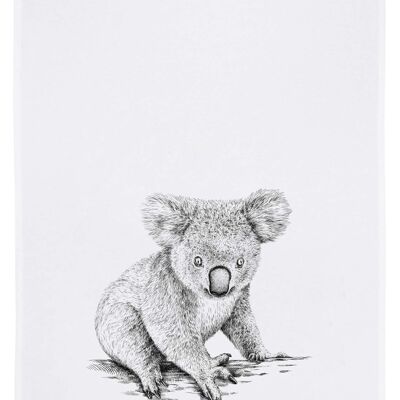 Torchon blanc, Koala en gris foncé