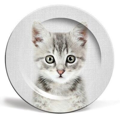 10 inch plate, kitten - colorful by gal design
