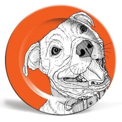 PIATTO DA 10 POLLICI, RITRATTO DI CANE BULL TERRIER DEL PERSONALE