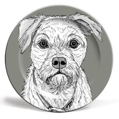 6 inch plate, border terrier dog portrait by adam regester
