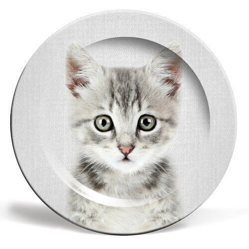 6 inch plate, kitten - colorful by gal design