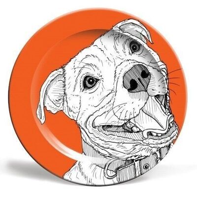 8 inch plate, staffordshire bull terrier dog portrait