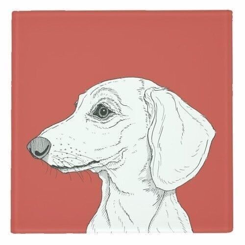 COASTERS, SMOOTH HAIRED DACHSHUND PORTRAIT BY ADAM REGESTER Glass