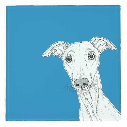 COASTERS, WHIPPET DOG PORTRAIT (BLUE BACKGROUND) Glass