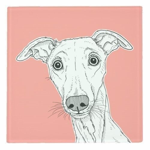 UNTERSETZER, WHIPPET DOG PORTRAIT (KORALLENHINTERGRUND) Glas
