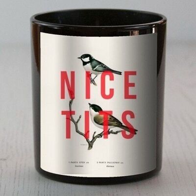 SCENTED CANDLES, NICE TITS BY THE 13 PRINTS Wild Fig & Patchouli